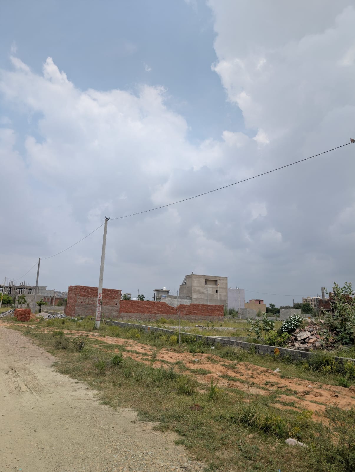 Project View