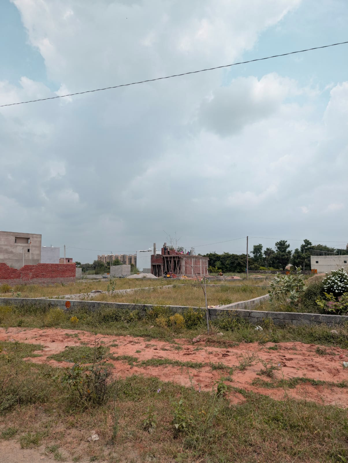 Project View