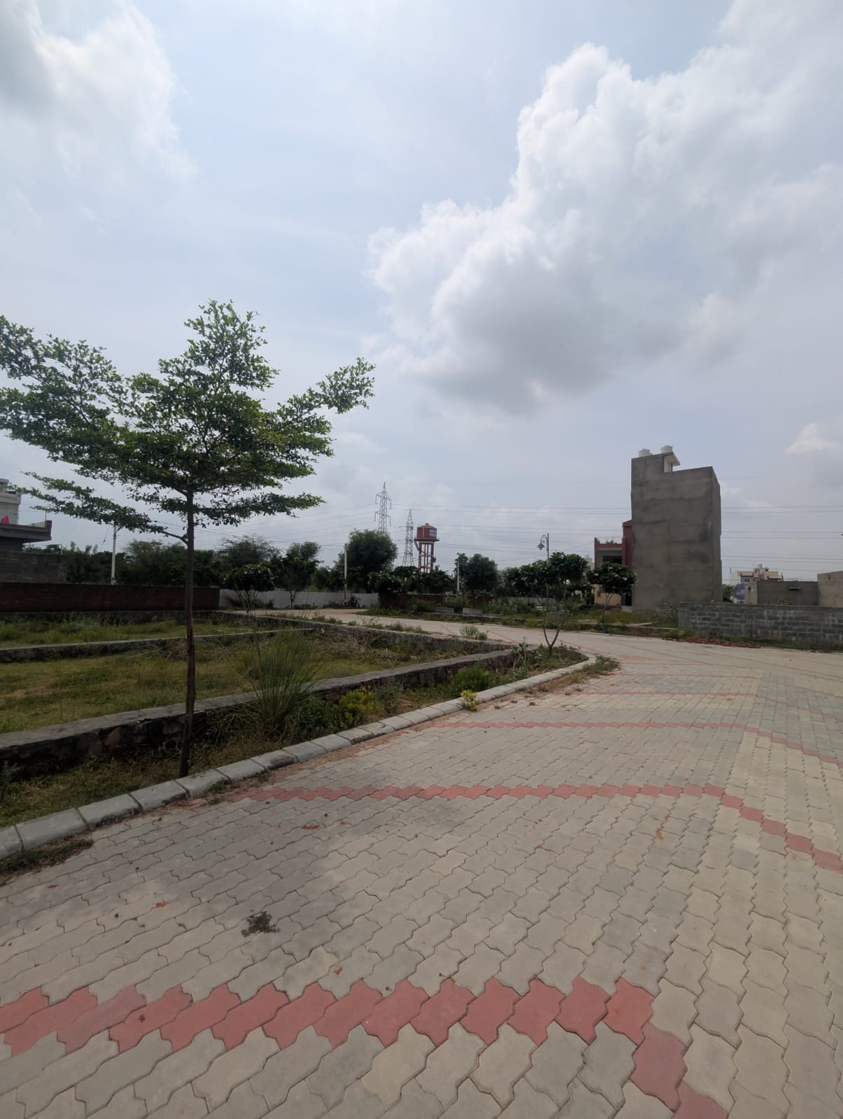 Project View