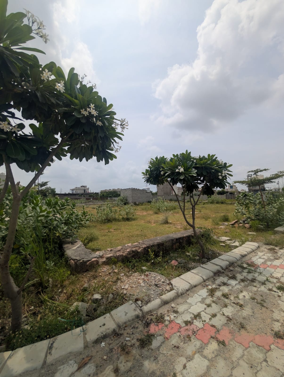 Project View