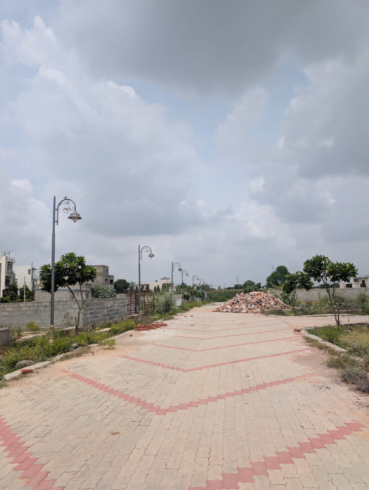 Project View