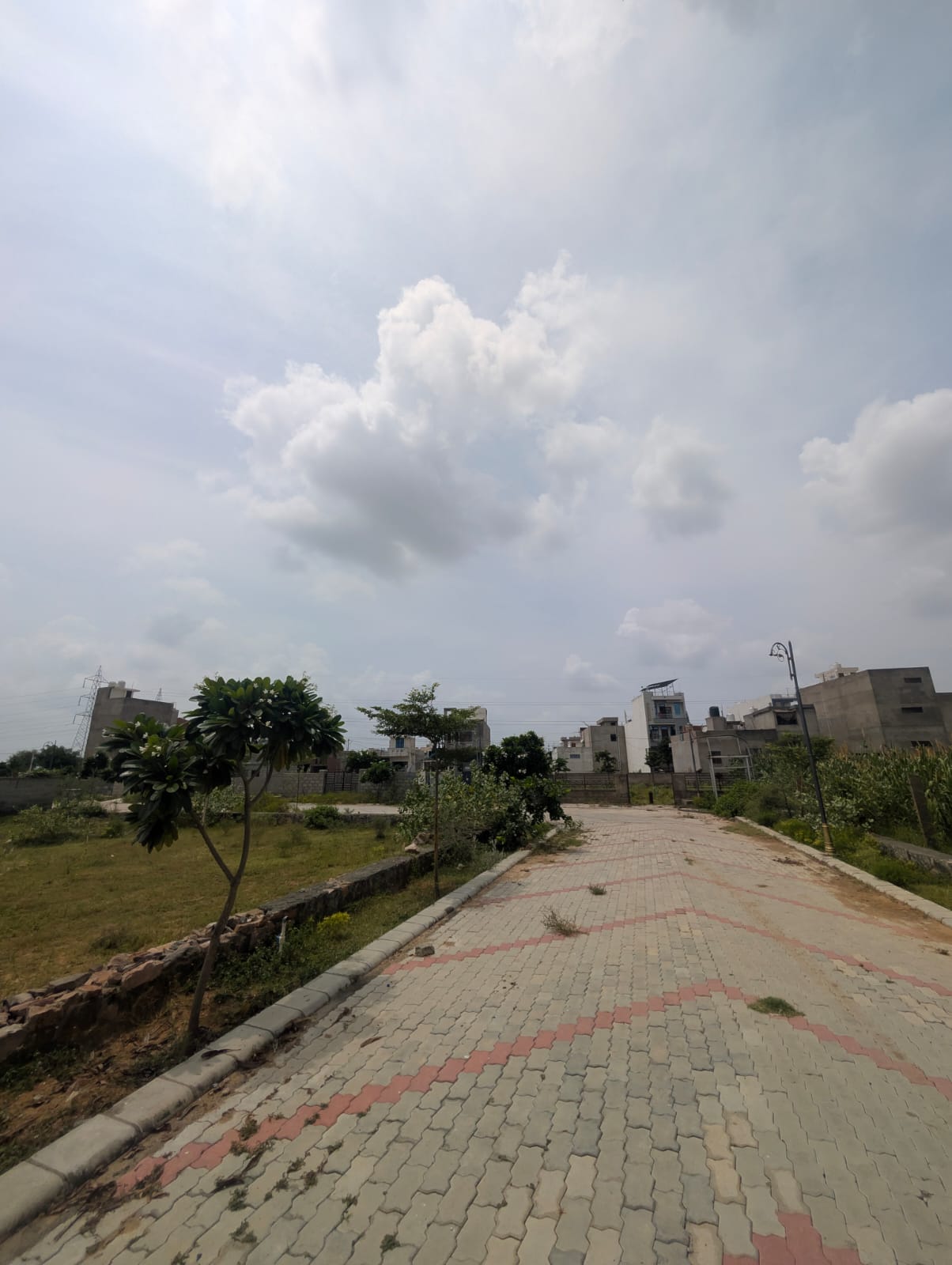 Project View