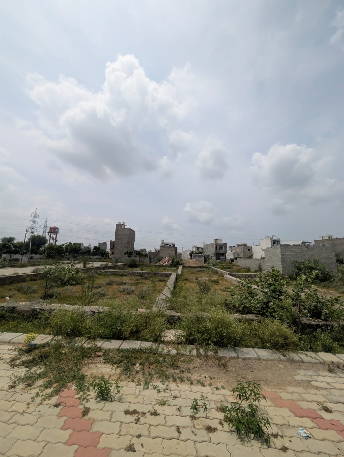 Project View