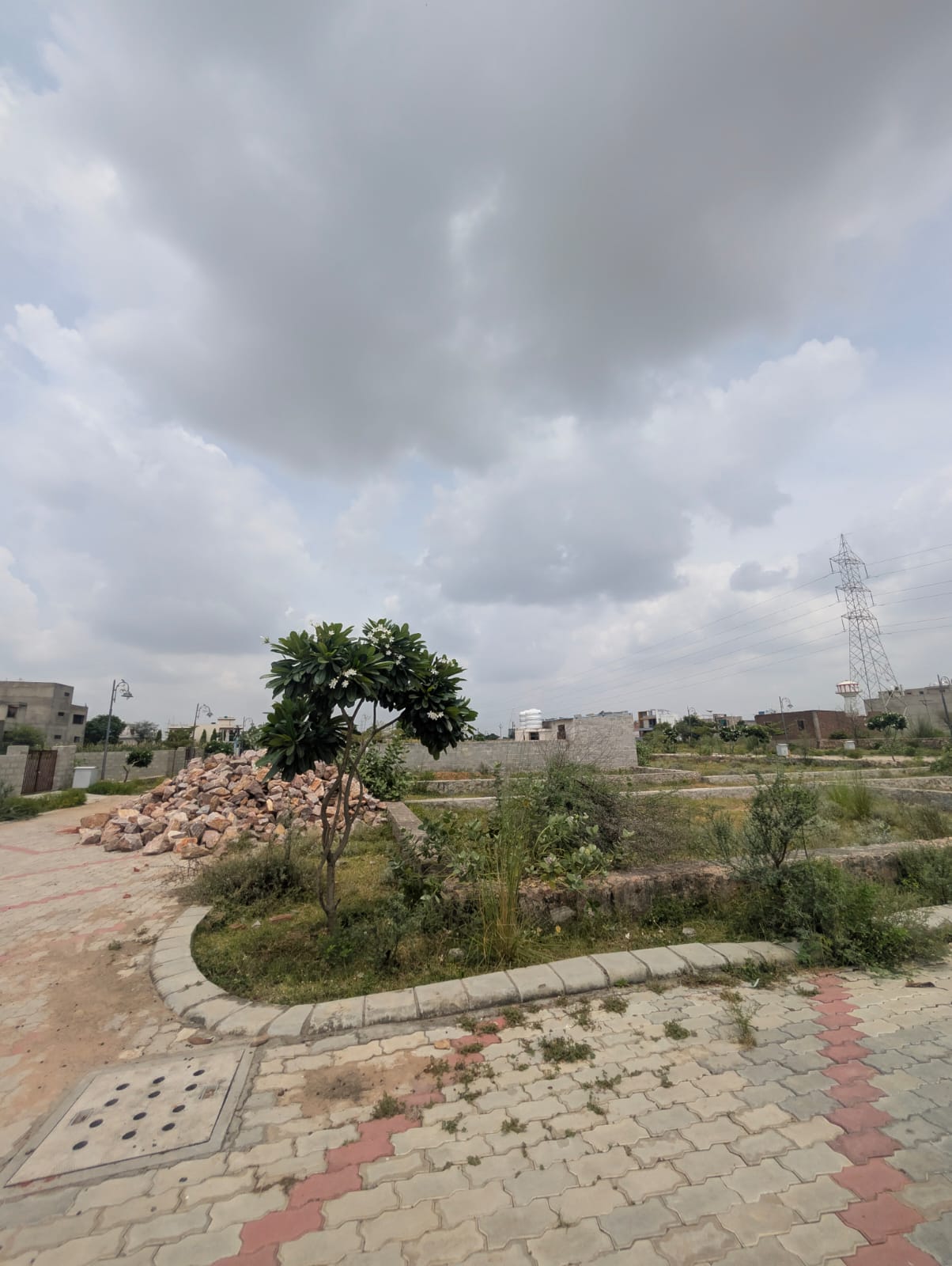 Project View