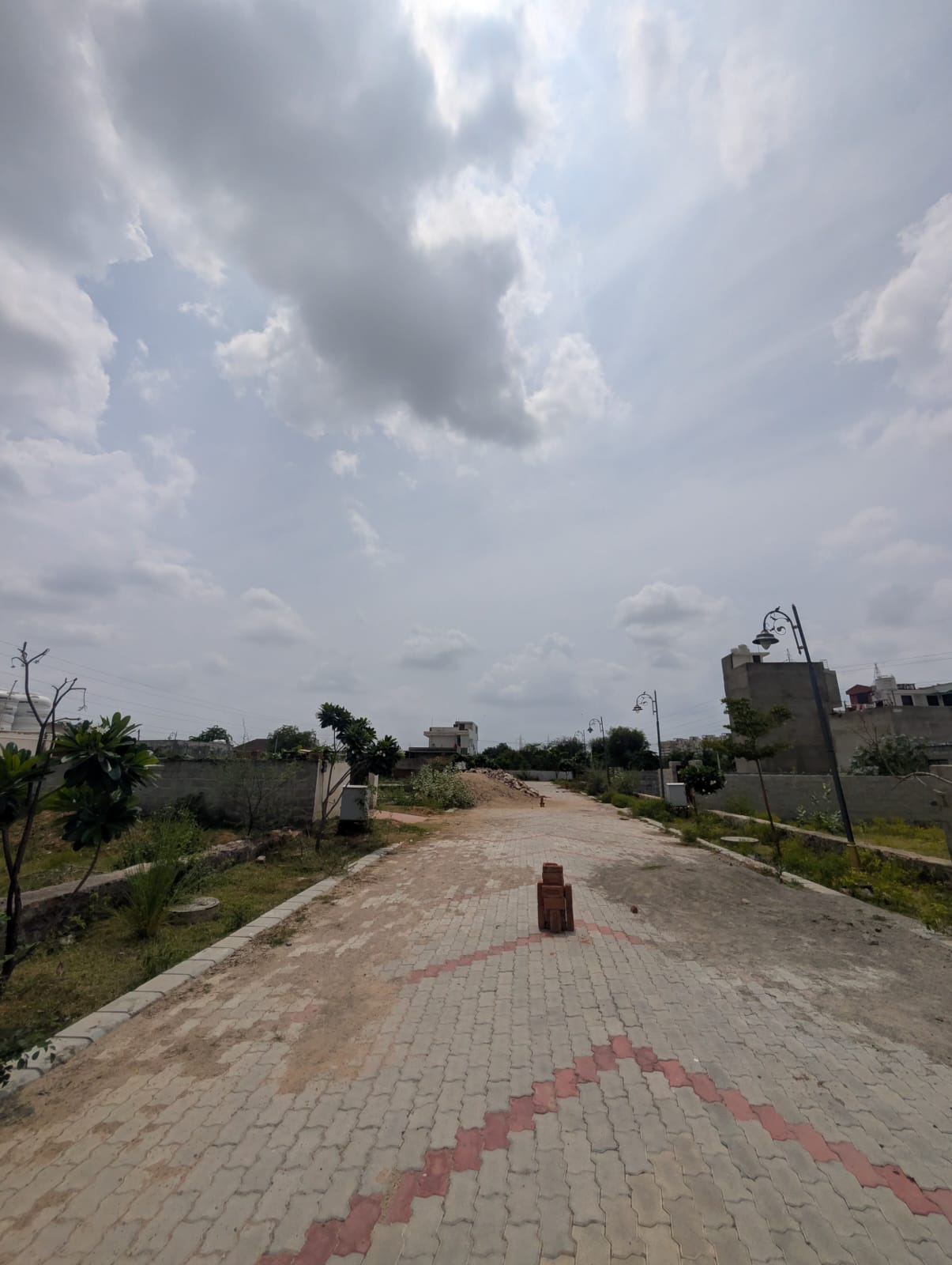 Project View