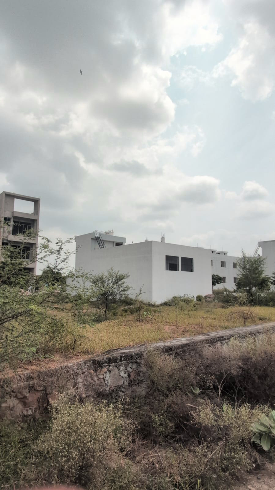 Project View