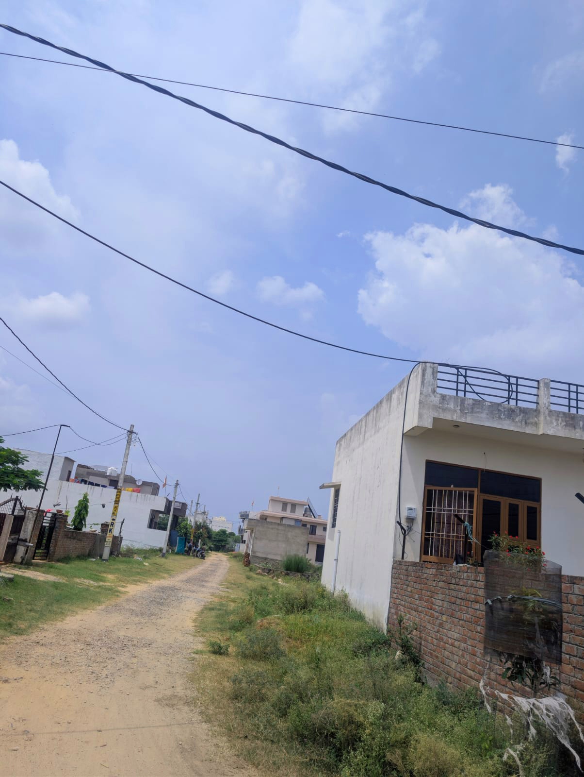 Project View
