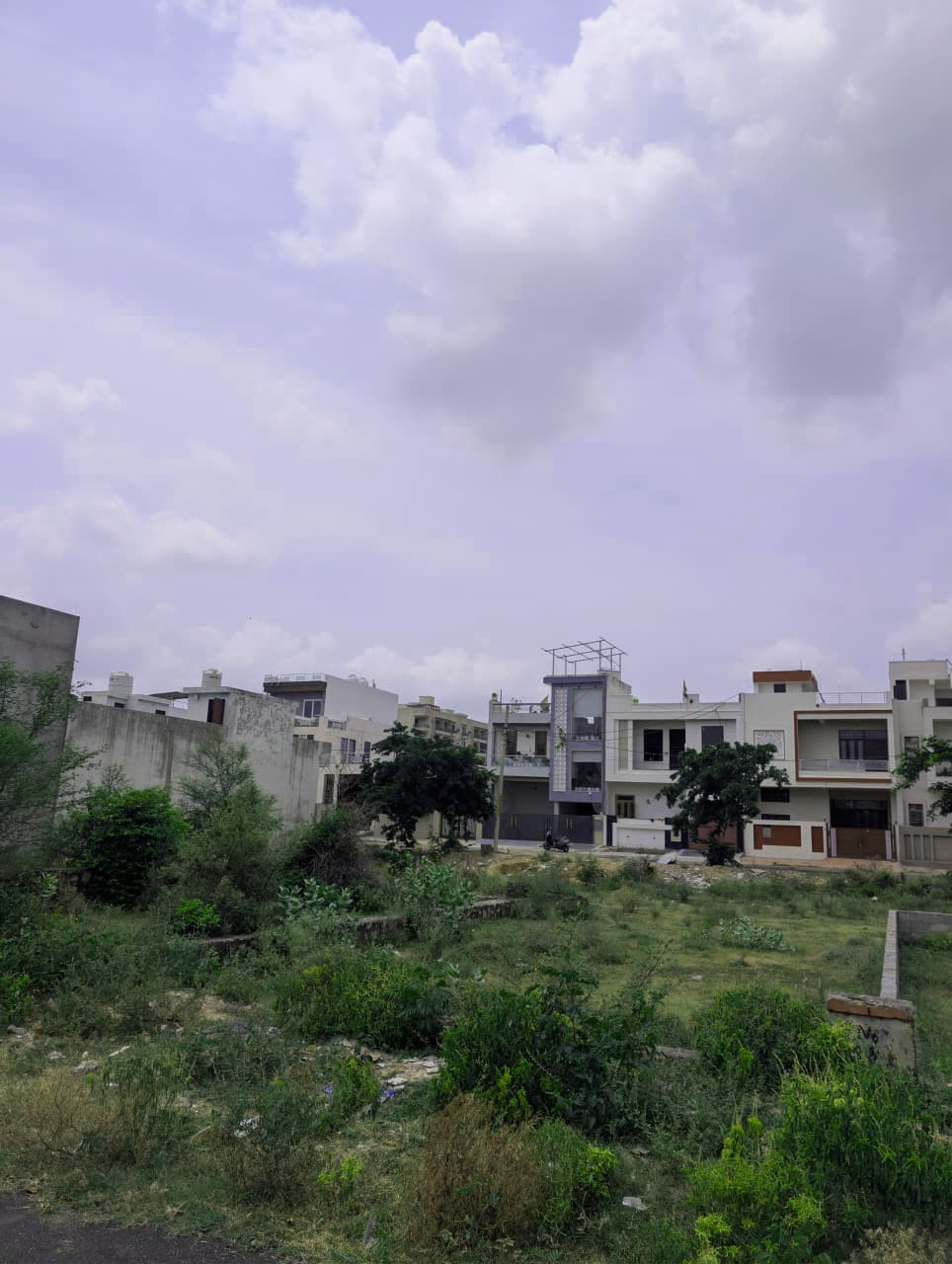 Project View