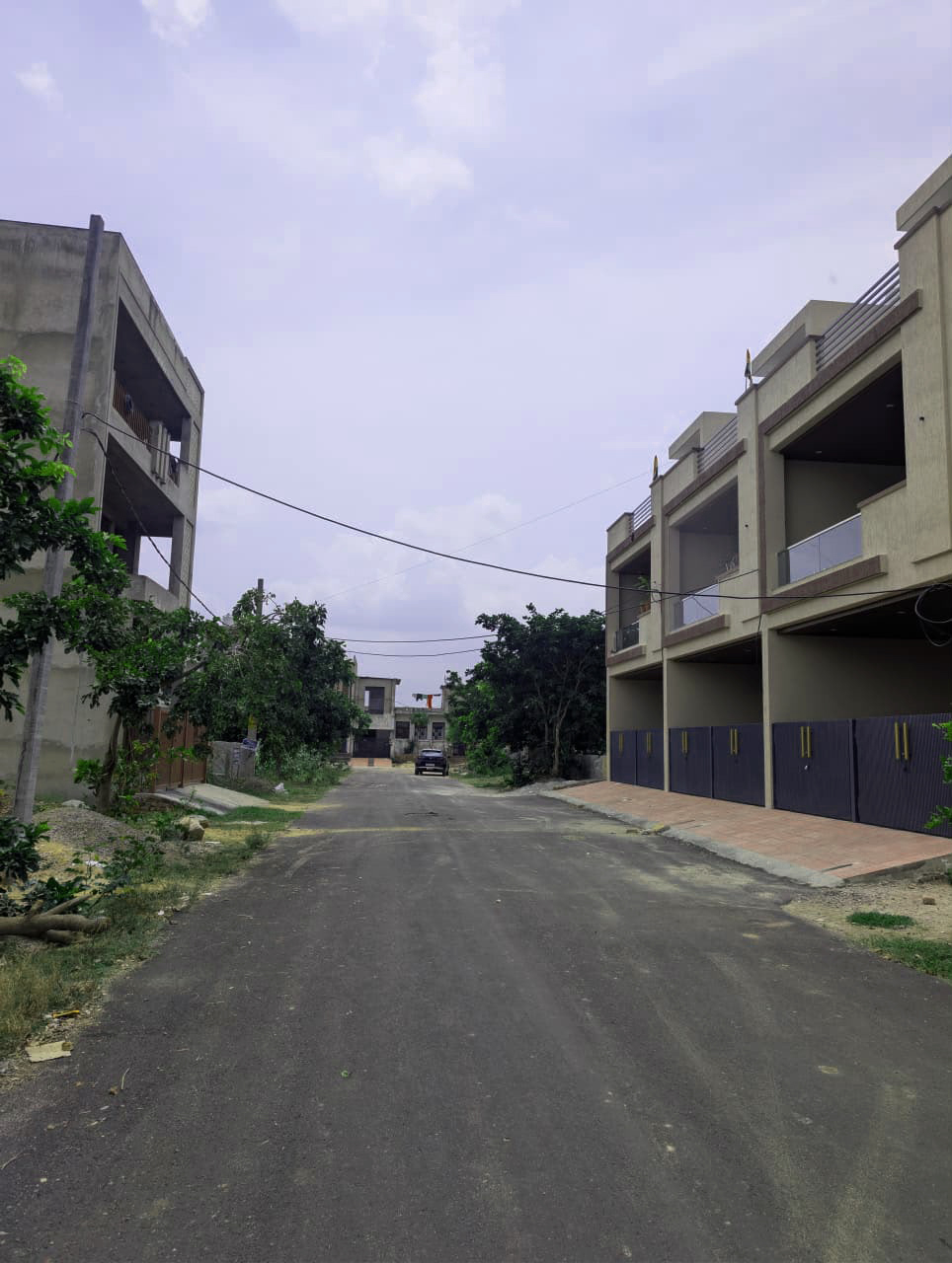 Project View