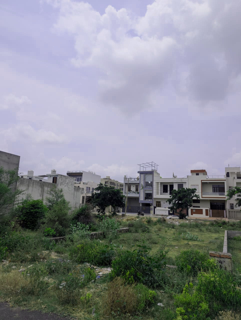 Project View