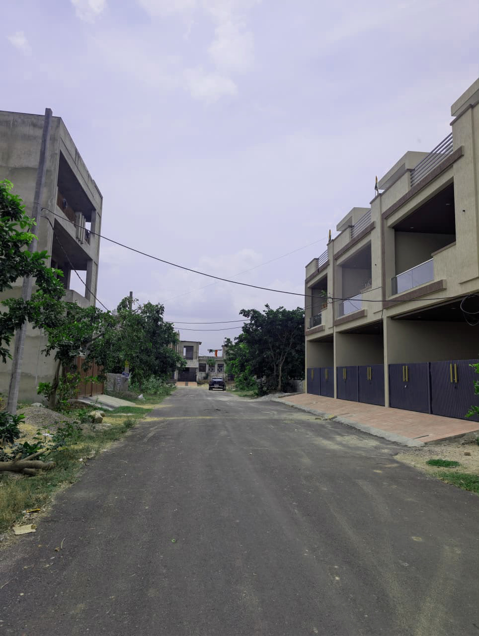 Project View