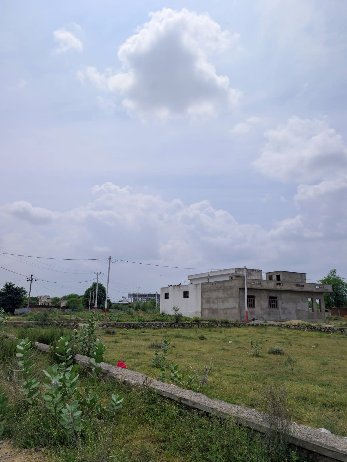 Project View