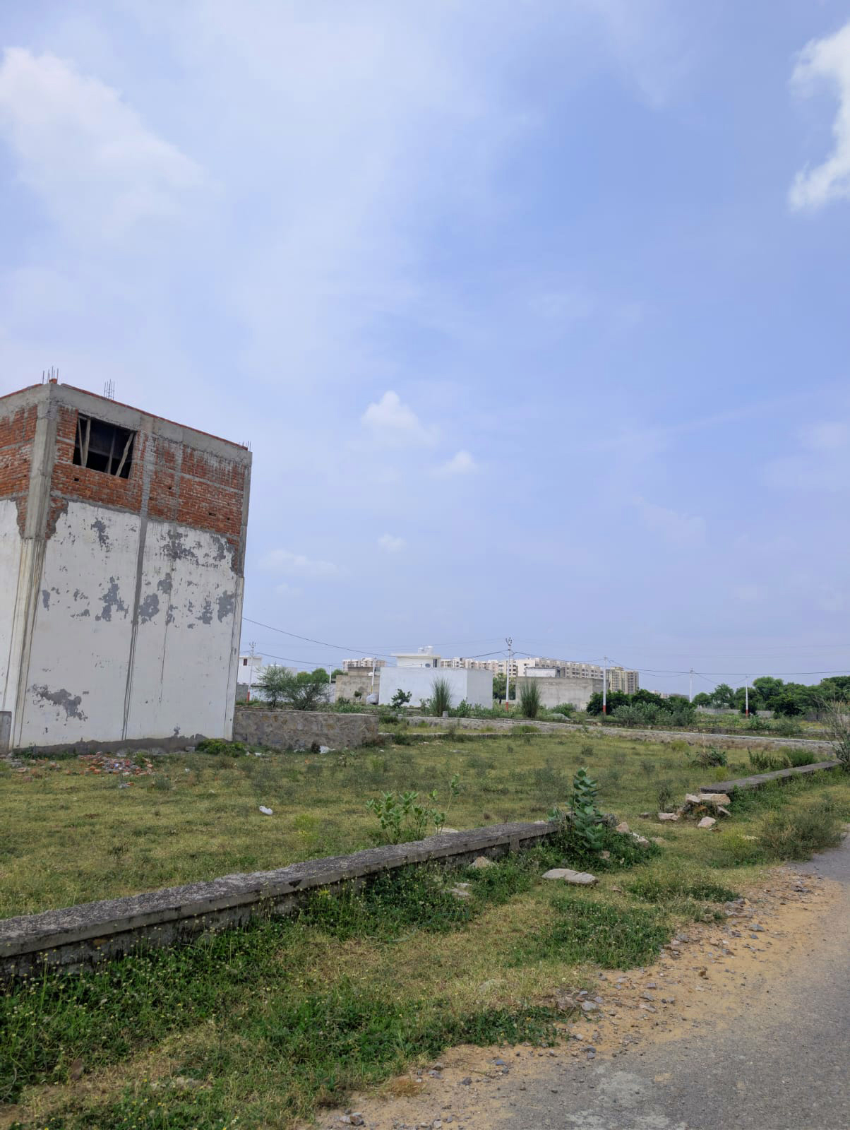 Project View